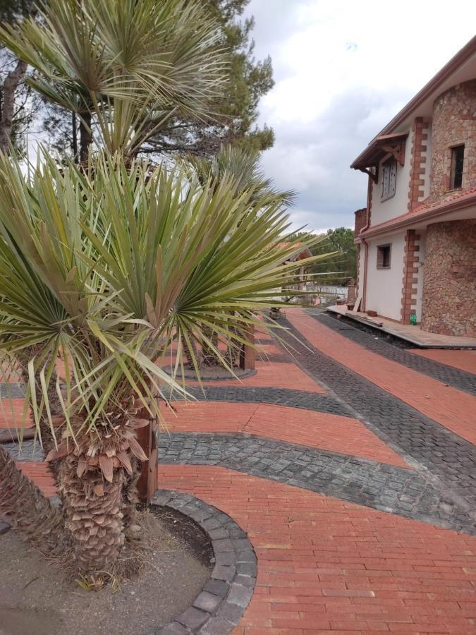 Etna Casa Del Sole Bed & Breakfast Nicolosi Dış mekan fotoğraf