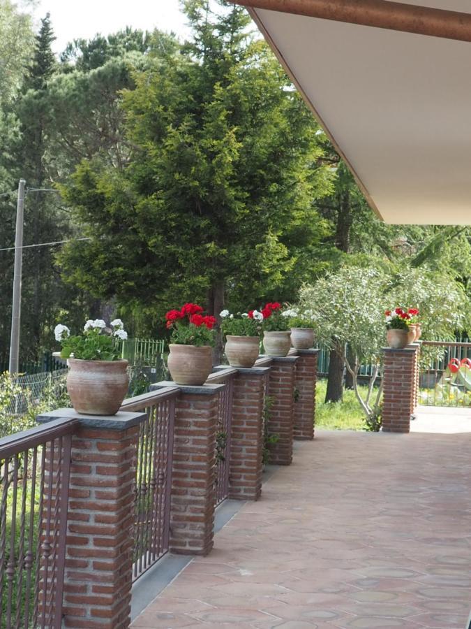 Etna Casa Del Sole Bed & Breakfast Nicolosi Dış mekan fotoğraf